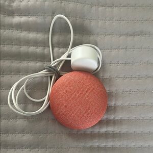 Google Nest Mini Coral